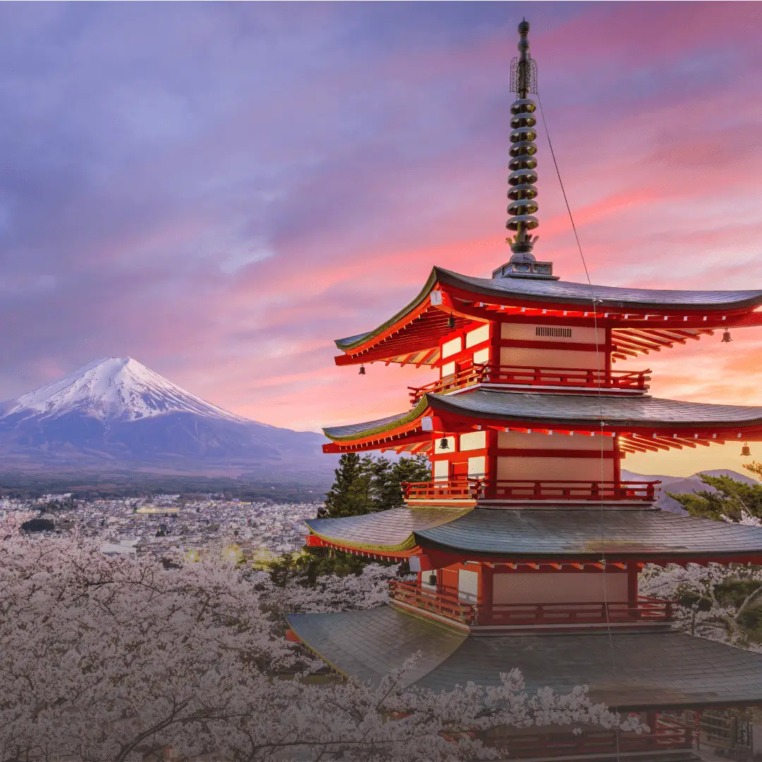 Japonya